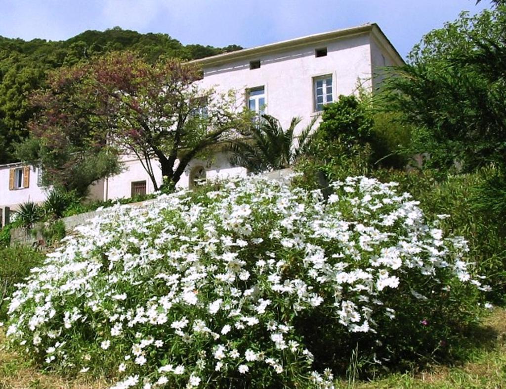 Casa A Rota Chambres D'Hotes Ersa Екстериор снимка